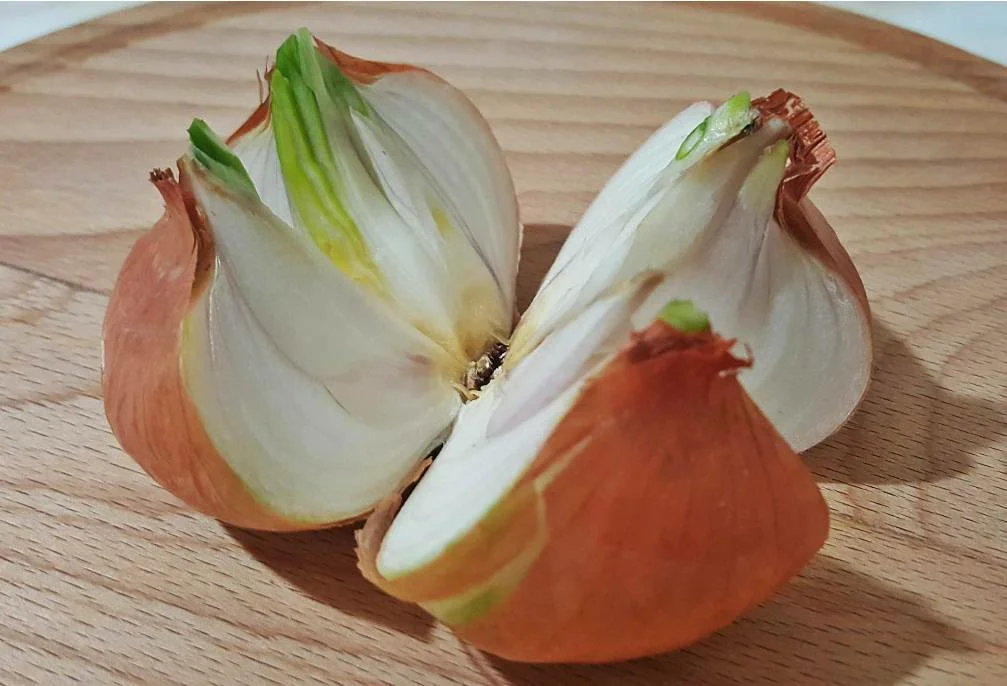 Лук репчатый 2 головки