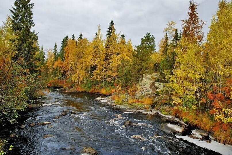 Яндекс картинки, свободный доступ