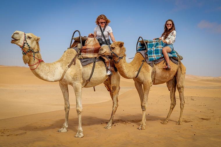 Катание на верблюдах – очень популярное развлечение у туристов в Египте и в некоторых других странах