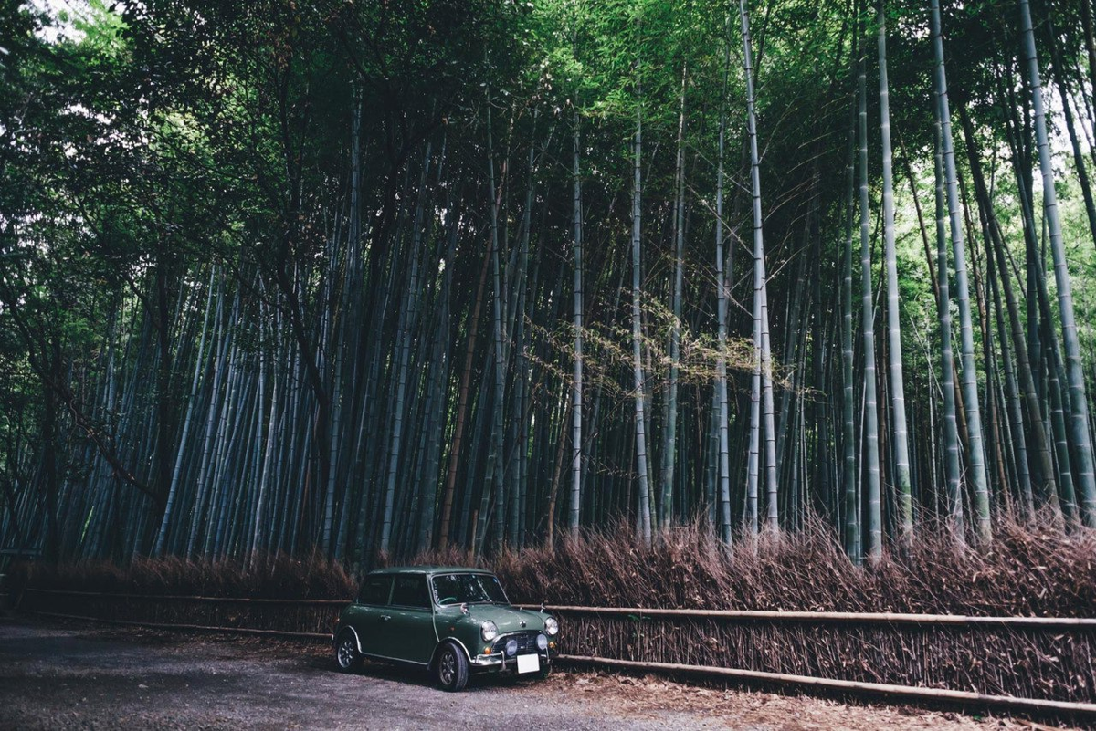 фото Takashi Yasui
