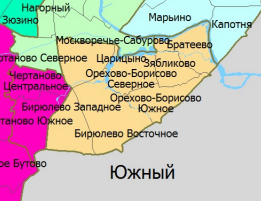 Избирательный округ № 203 на карте Москвы. Источник: http://mosgorizbirkom.ru