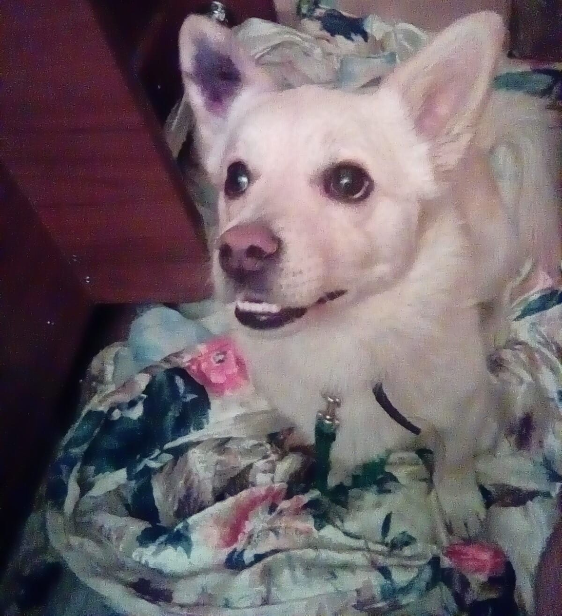 Это мы дома такие красивые, погуляли).