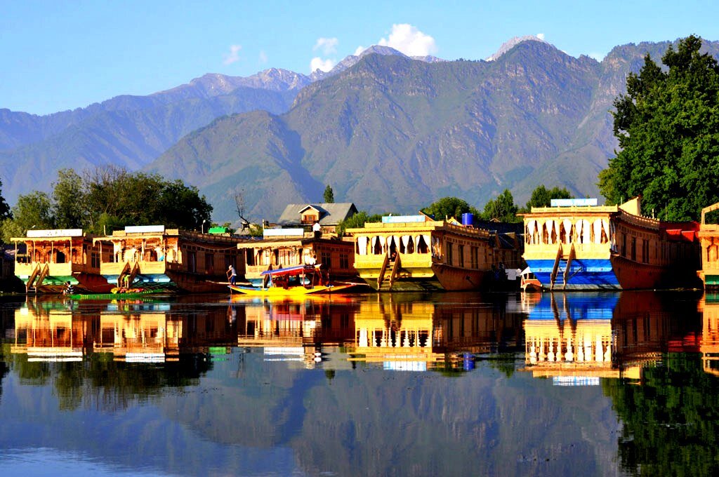 Фото из интернета 