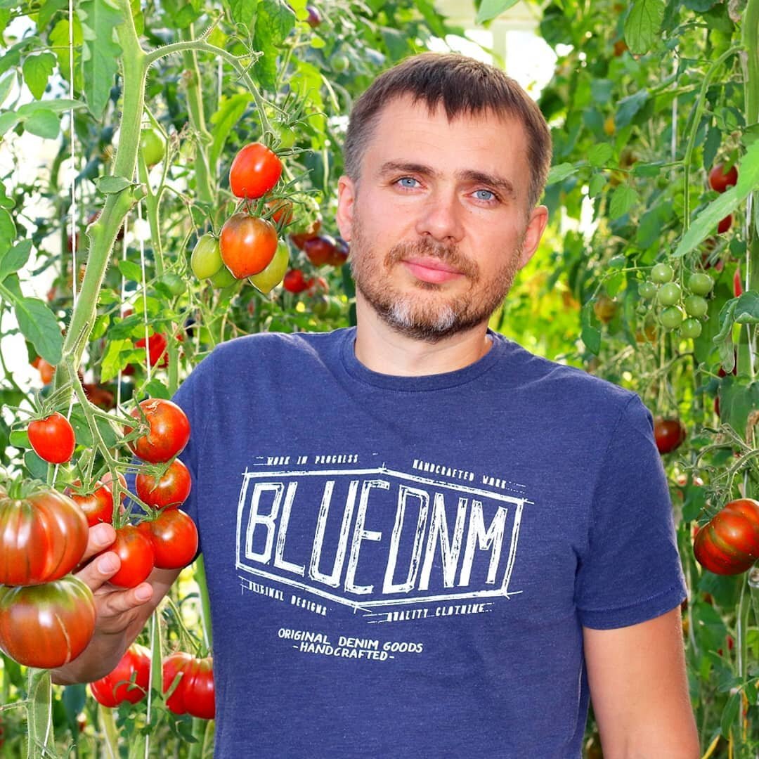 Мой урожай
