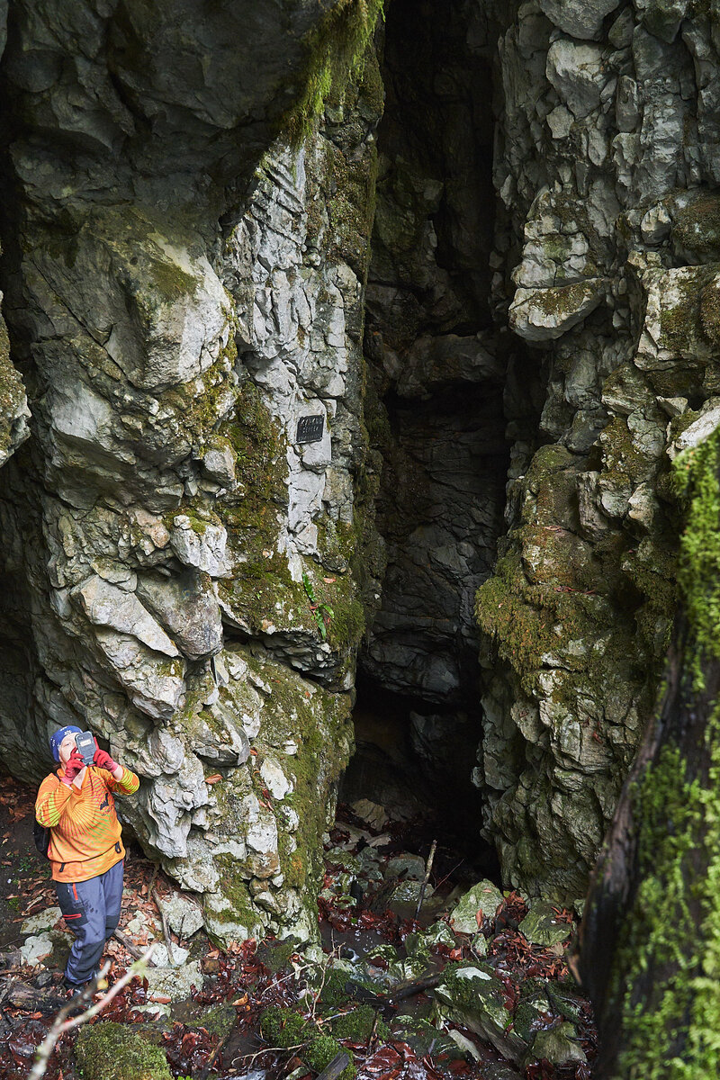 ТЭП (ТЕП), фото: Лариса Позднякова, vk.com/palarik