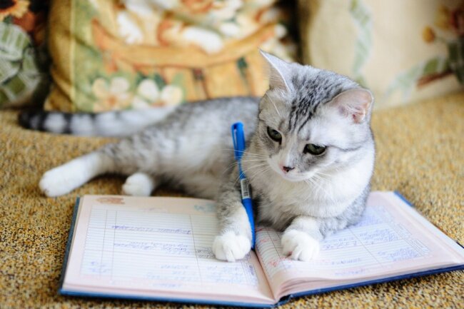 ( именно так должно выглядеть ваше утро и ваш вечер)