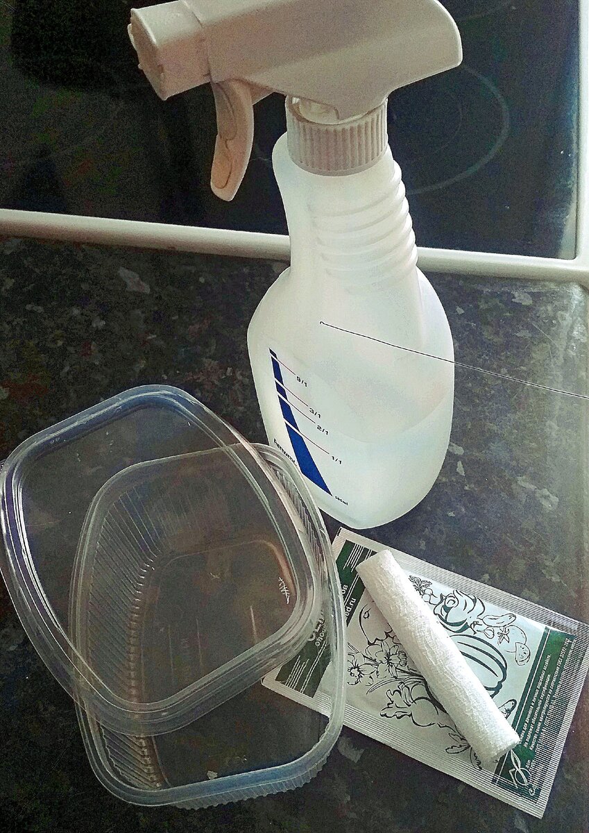 фото из личного архива