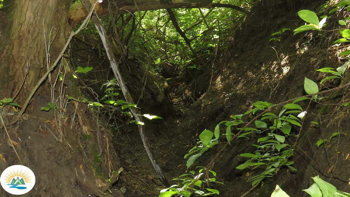 Пещера находится в заросшем овраге - мимо пройдешь и не заметишь!