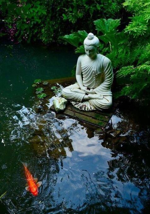 Фото с Яндекс картинки. Дзен 