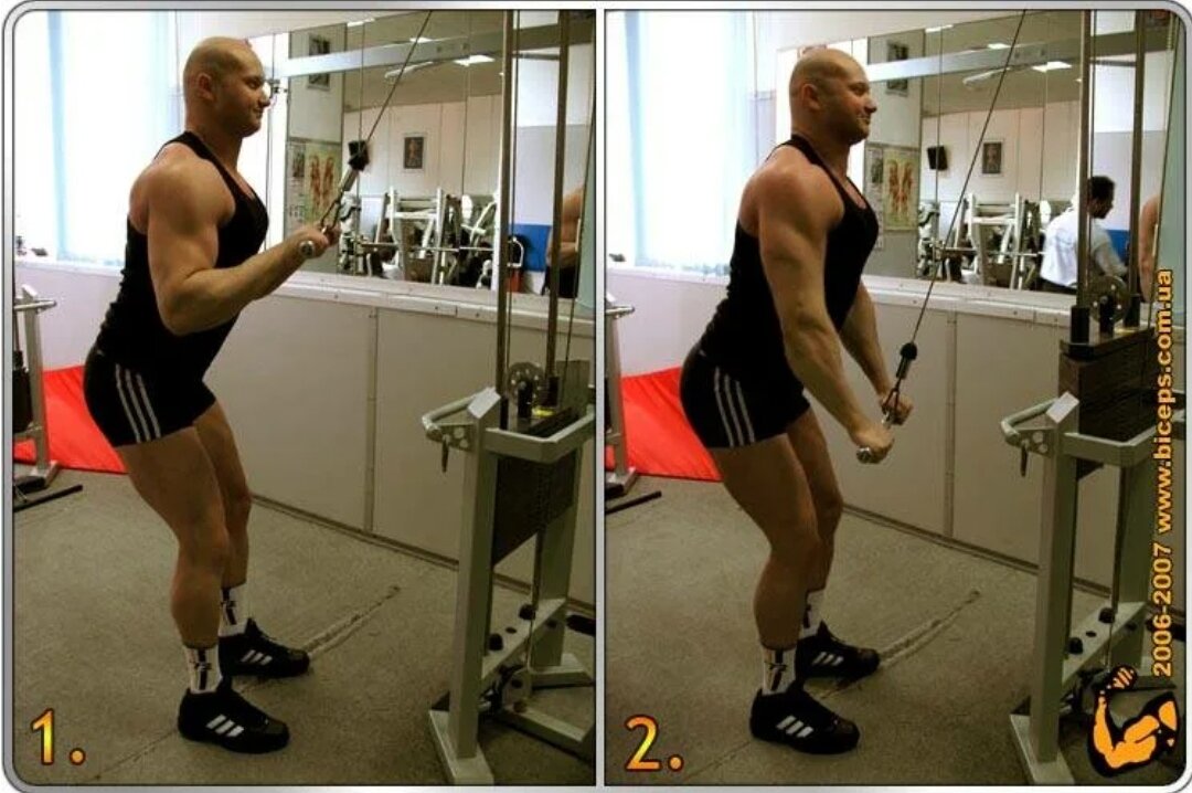 Разгибание рук с верхнего блока. Разгибание на трицепс в кроссовере. Упражнение косичка. Разгибание рук на блоке. Разгибания на трицепс на верхнем блоке с прямой рукоятью.