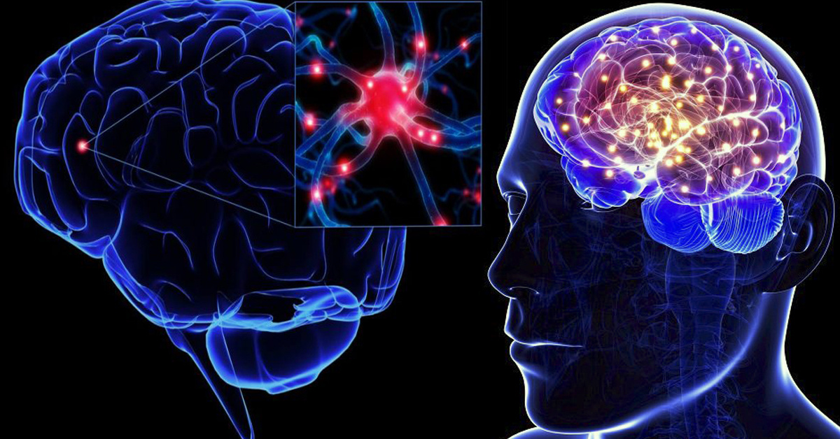 Нейронные связи