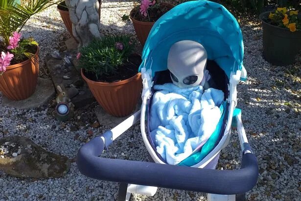 Таргету подарили коляску