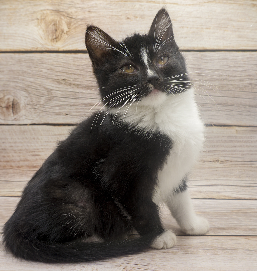 Фотография автора