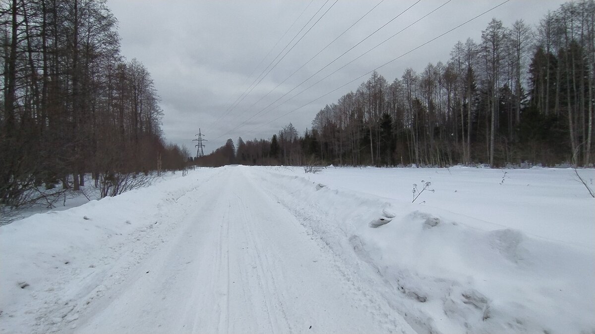 Лесовозная дорога