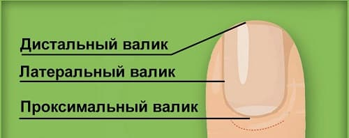 Латеральный валик. Ногтевые валики. Боковые валики. Валик ногтя. Латеральный край ногтя.