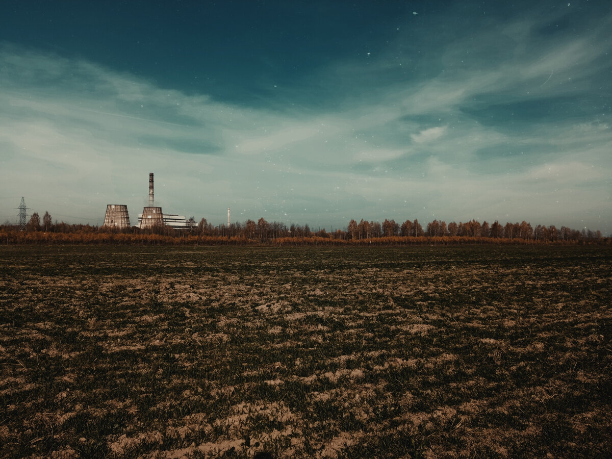 наше любимое место для прогулок...местами, конечно, не пройдешь, не увязнув по колено в грязи - но мы согласны!