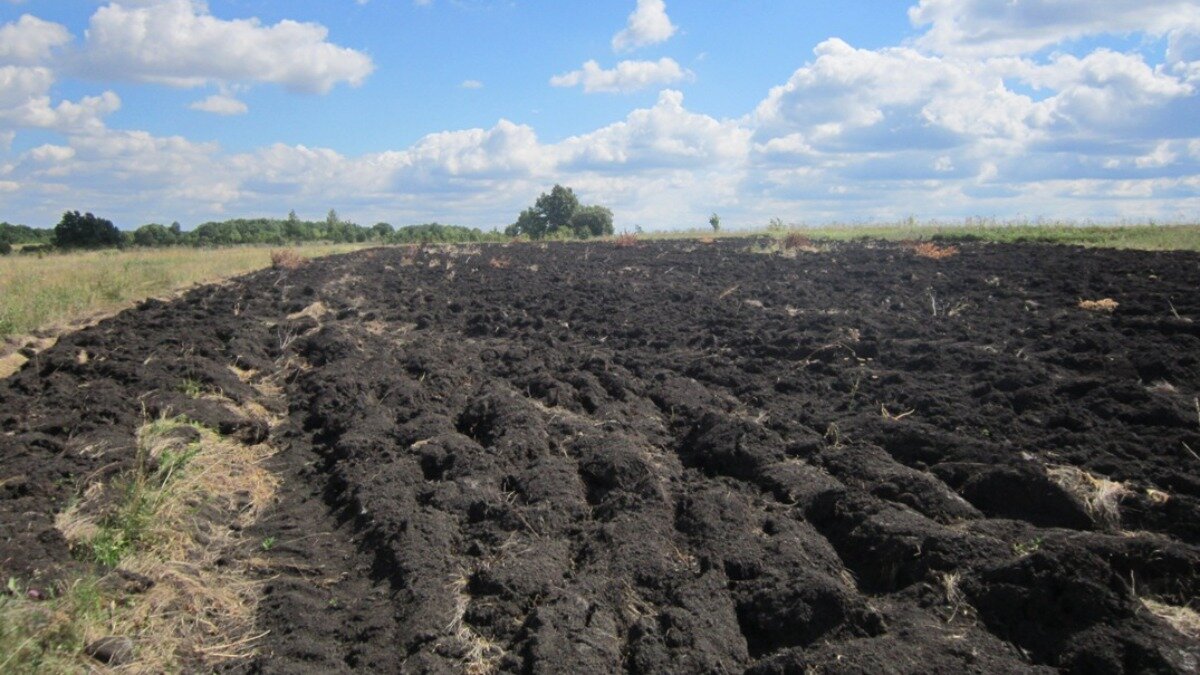 Фото:pnzreg.ru Вспашка зяби под будущий урожай