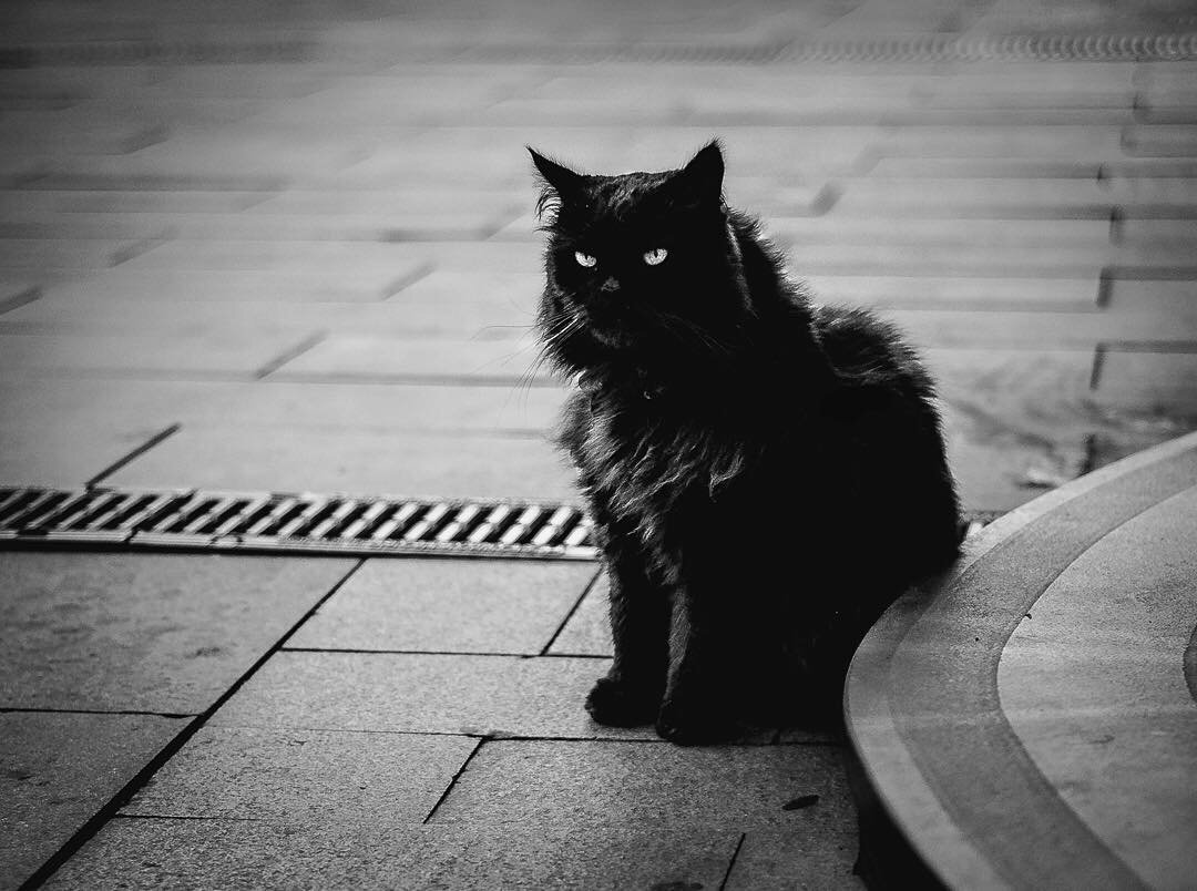 Фото из открытых источников 