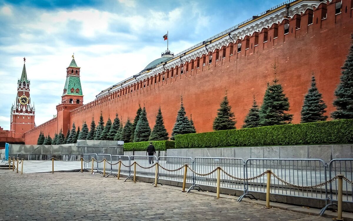 голубые ели у кремлевской стены в москве