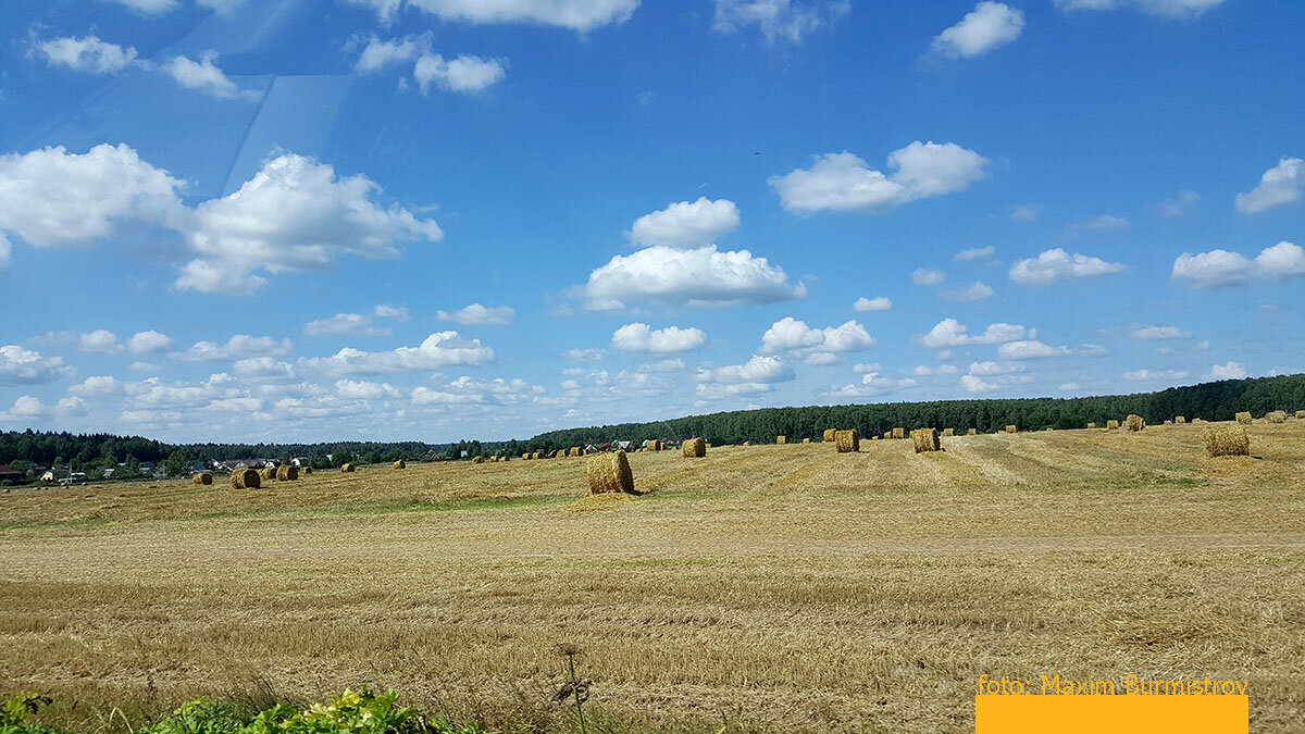 Мимо пролетают живописные поля – урожай убран, все в соломенных валках.