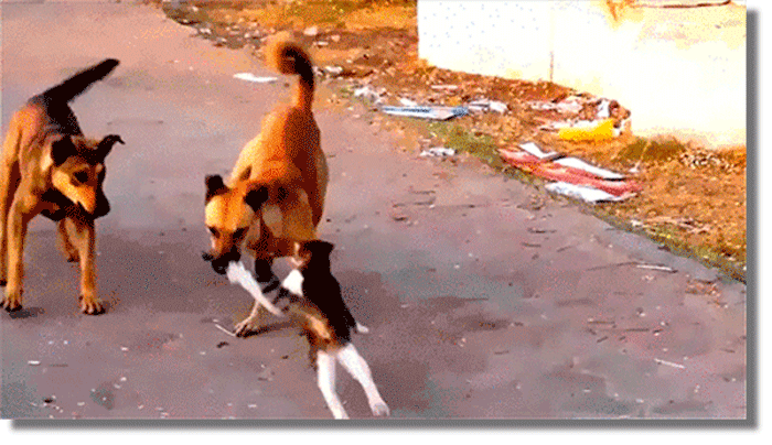  Фото: fishki.net