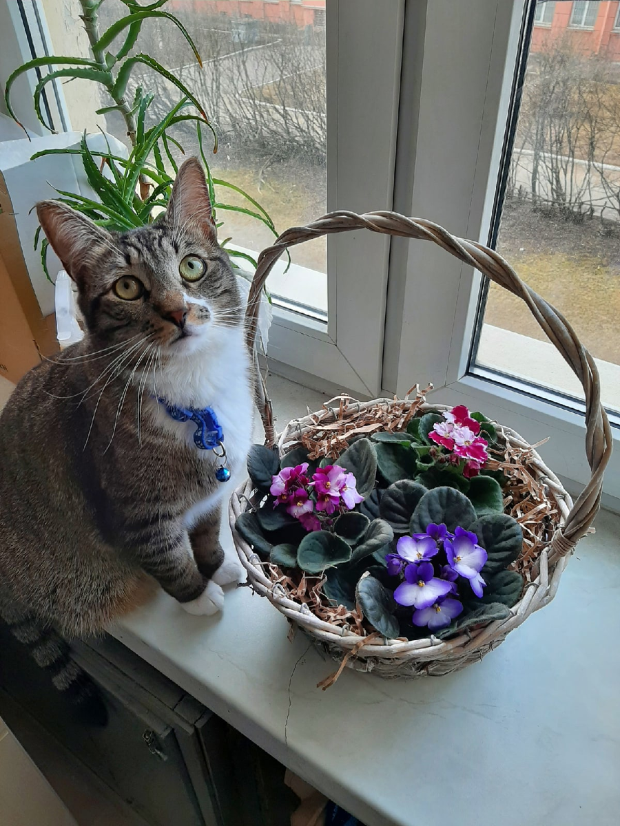 Вот такая красота