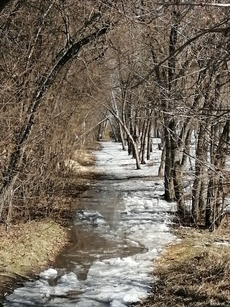 Весна! Фото автора