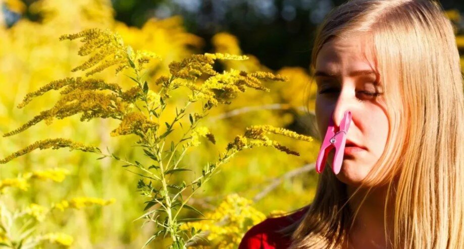 Как лечится поллиноз?