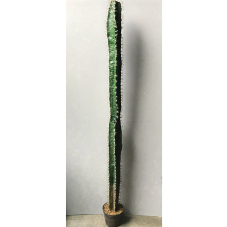 фотография из интернета, нашла примерно похожий.