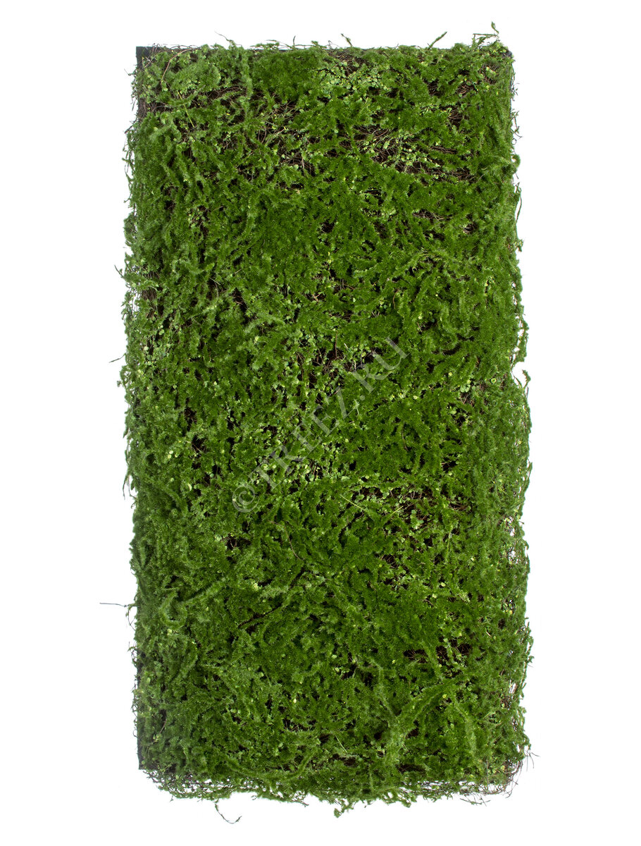 Полотно мха Treez Collection