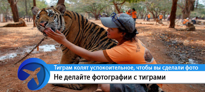 Студия креативного дизайна www.nosecret.me