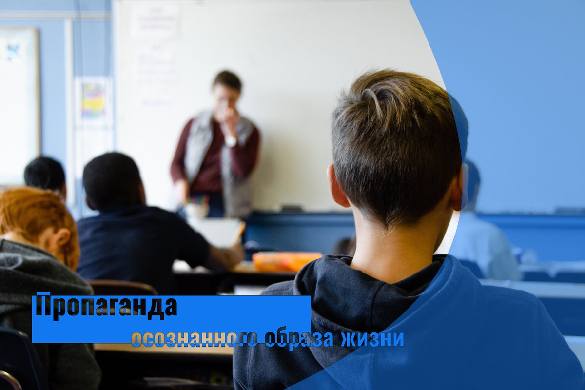 В школе детям преподают экологию и объясняют, как заботиться о природе.