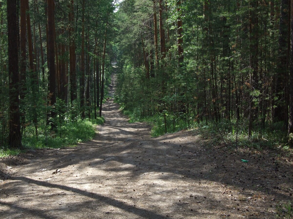 Подписывайтесь на канал, ставьте лайк! Фото автора.