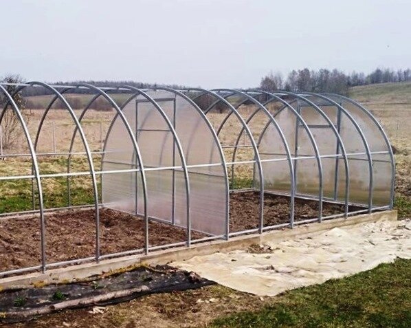 Перегородка в теплице из поликарбоната