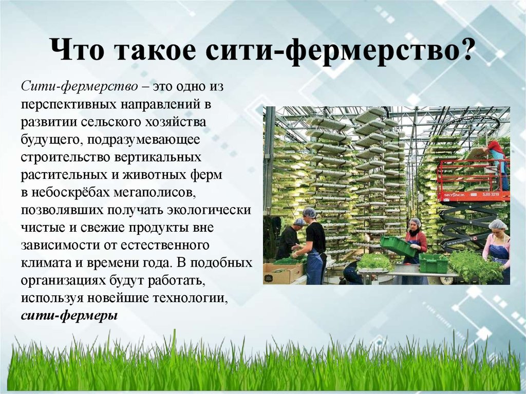 Сити фермер профессия будущего презентация профессии