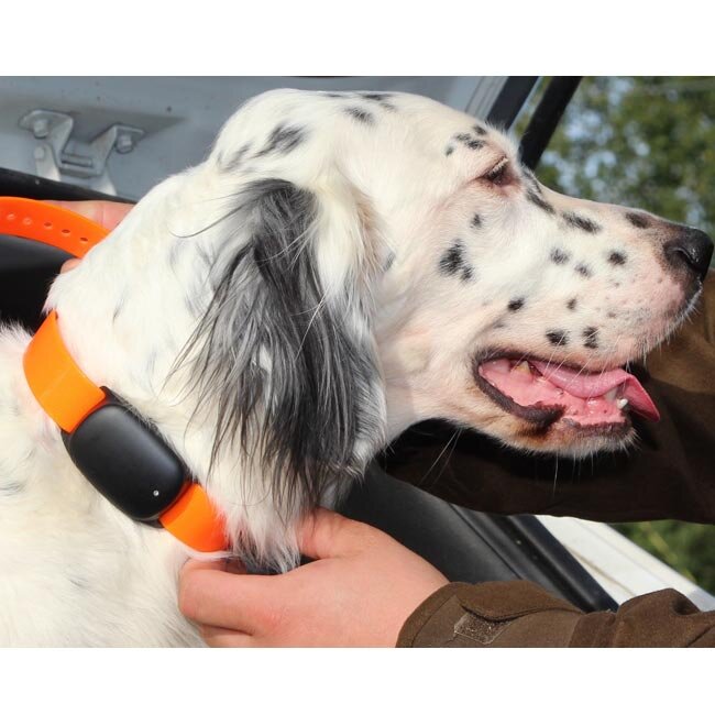 Фото с сайта digipulse.ru