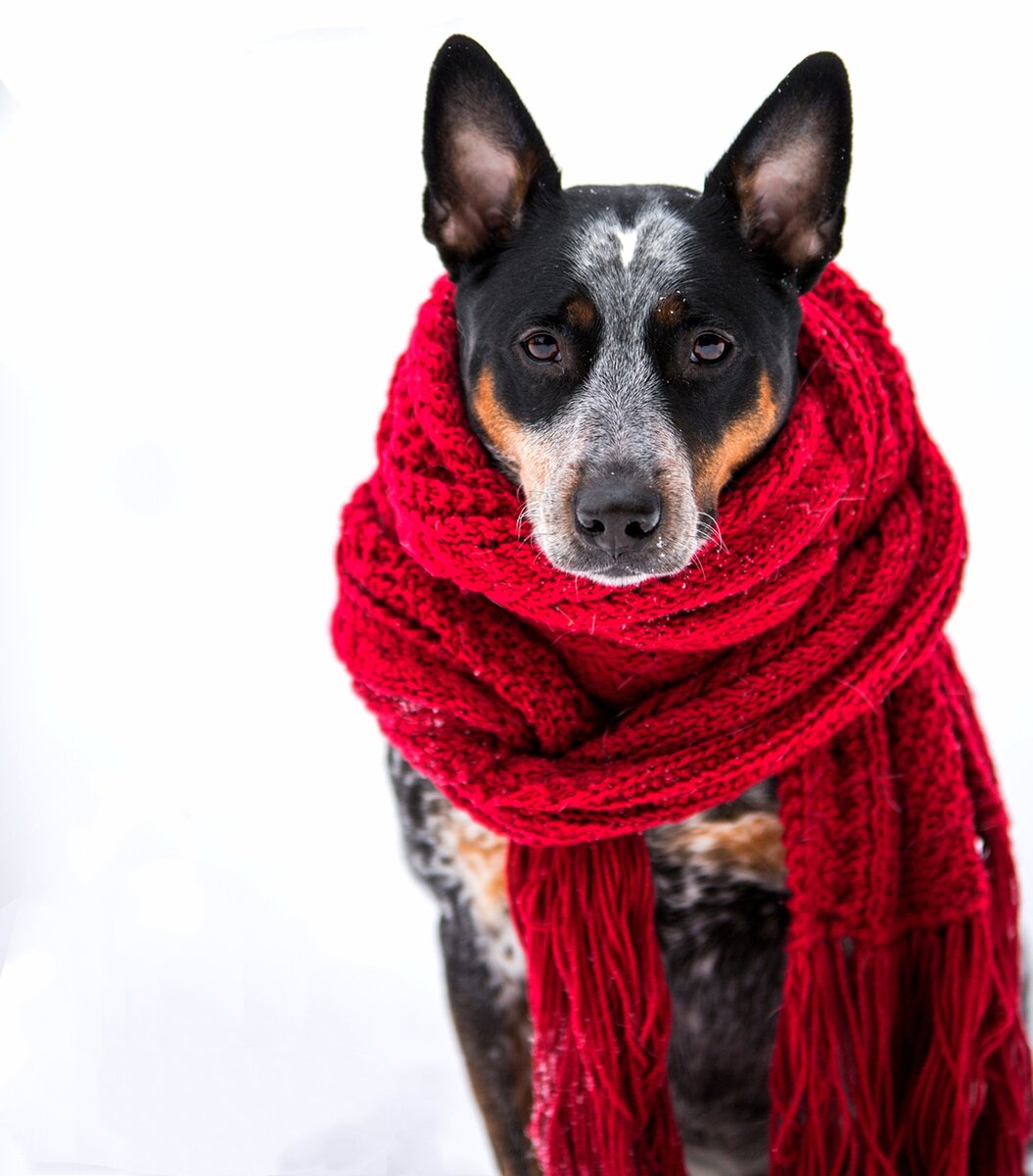 Фото: Benjamin Lehman