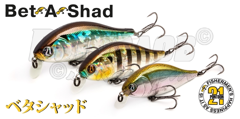 Bet-A-Shad