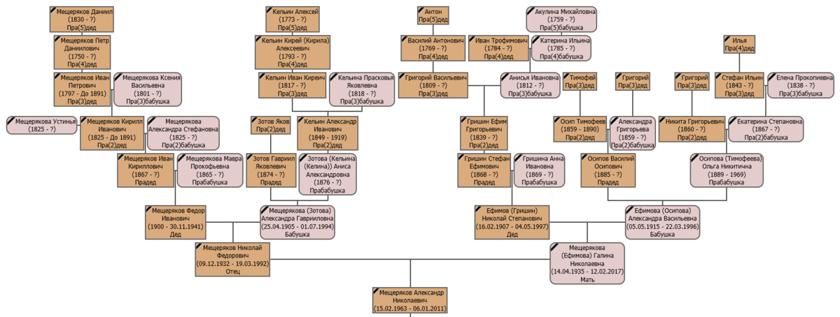 Генеалогическое древо Мещеряковых (Сунженская линия) и Ефимовых (Новгородская губерния) 