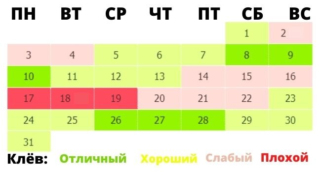 Ловись, рыбка, большая и очень большая: прогноз клёва по луне и погоде Общество 