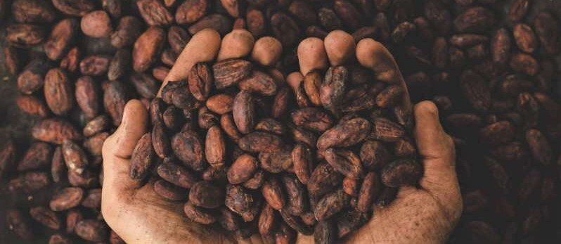 Почему элитным ацтекским воинам веками платили какао-бобами, а не золотом, которого у ацтеков было навалом?