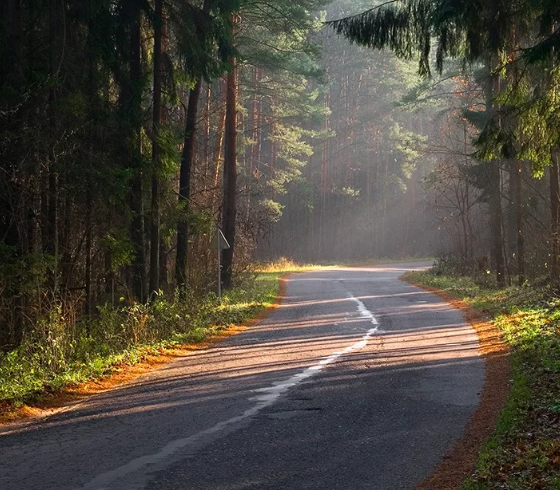 Фото взято в качестве примера к публикации из Яндекс Картинок 