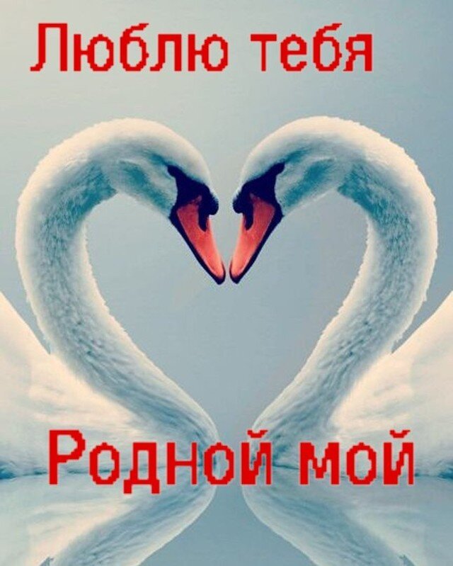Ты мой любимый мой родной картинки