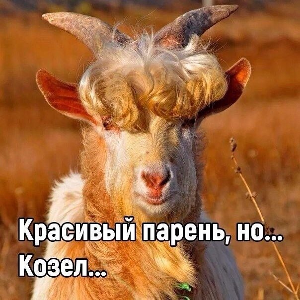 Фото в качестве шутки.