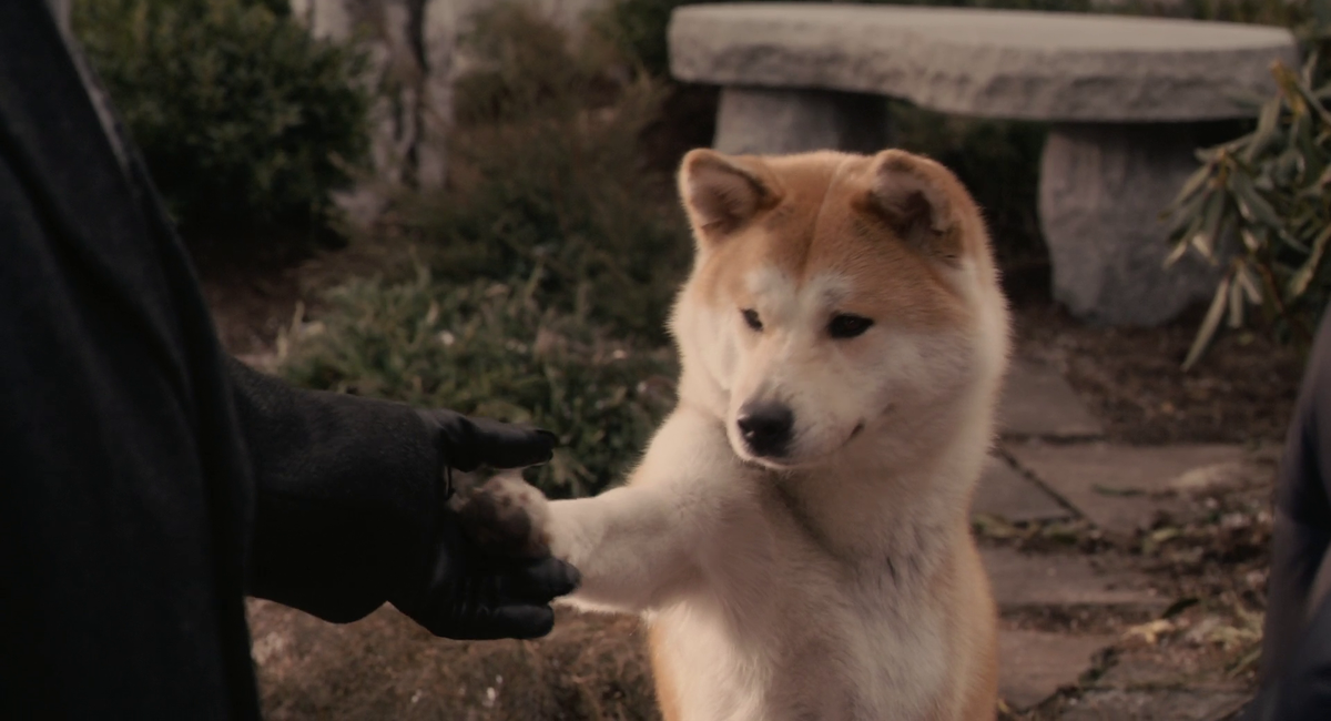 Скриншот из фильма (Hachiko: A Dog's Story / Хатико; Самый верный друг)