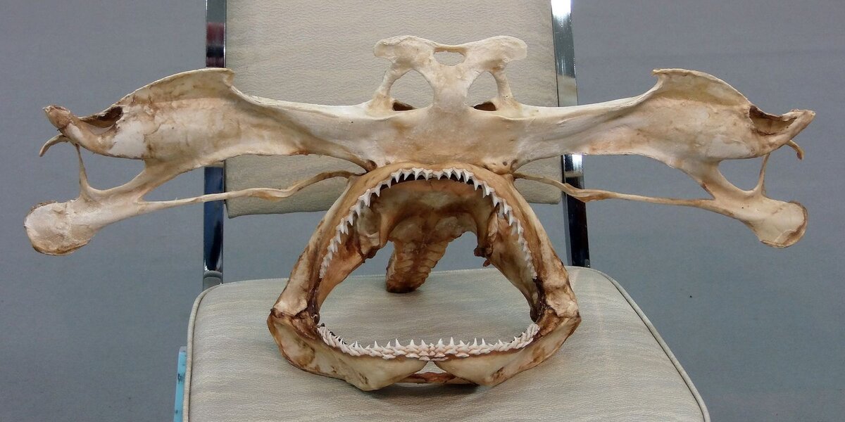 Источник: yandex.ru