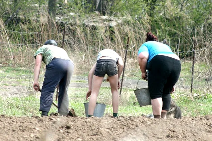 фото взято с просторов интернета 