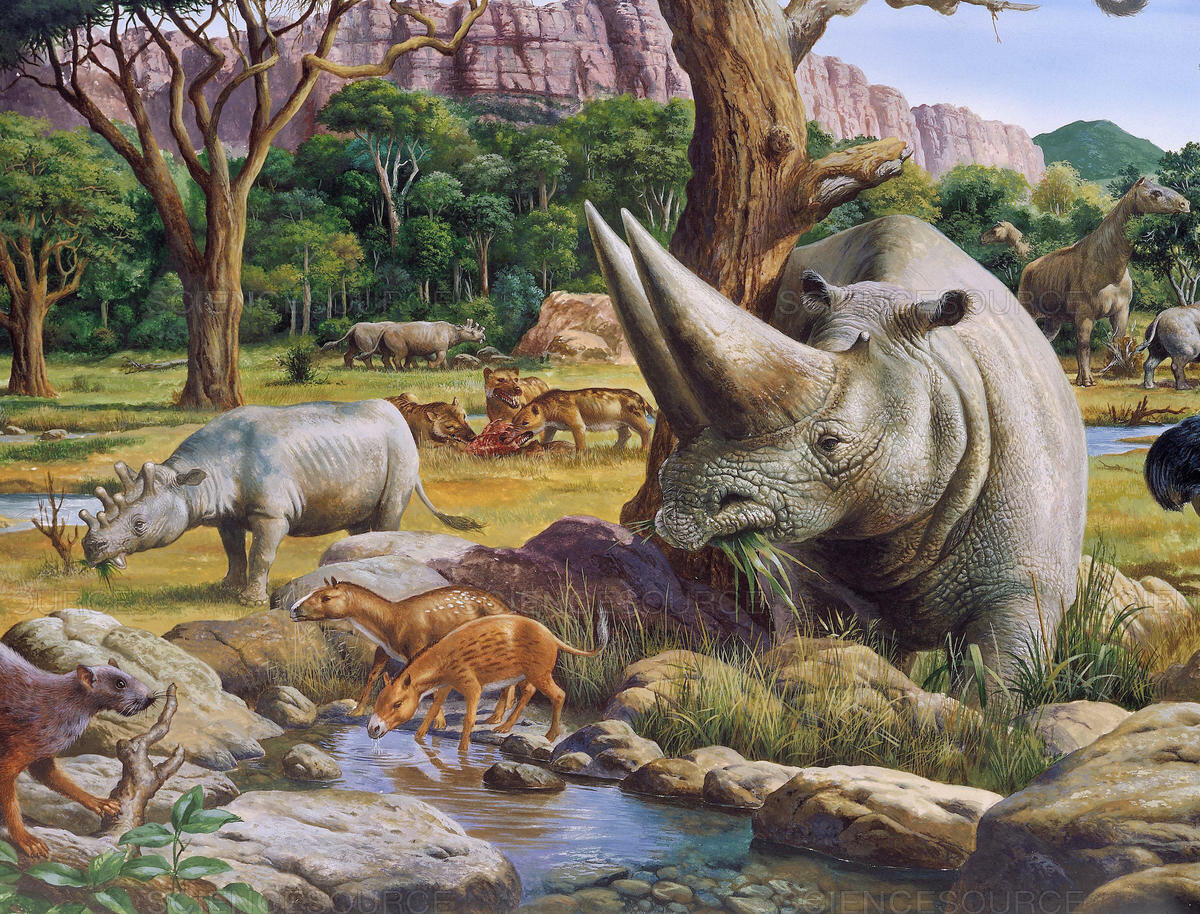 Типичные примитивные млеки, так сказать - мозга нет, но вы держитесь!