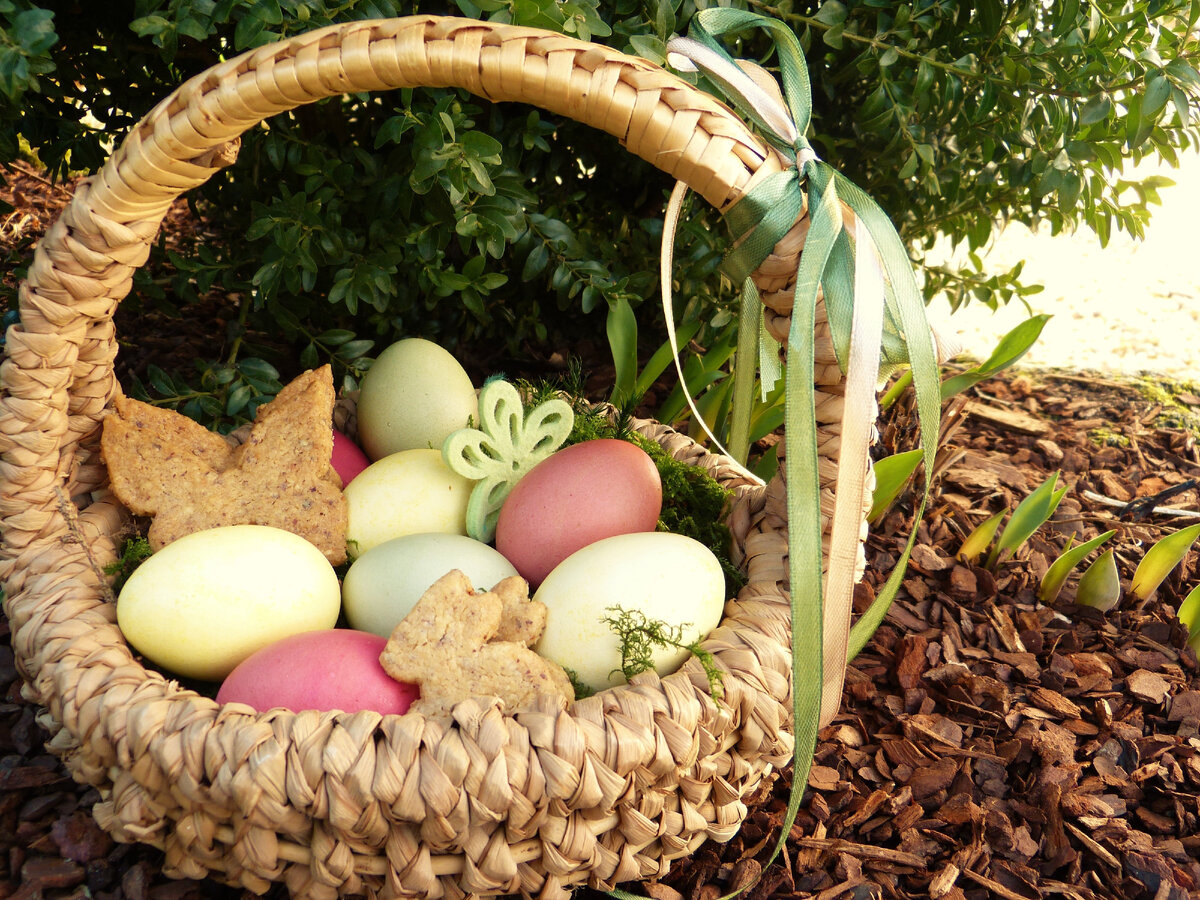 Источник фото: https://www.freestockimages.ru/easter?pgid=jc8zds47-3b34de0b-6d9c-45f5-9149-bbc4e485b84a