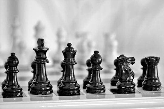    Во время детского первенства России в Лоо погибла 12-летняя шахматистка: на нее напала собака